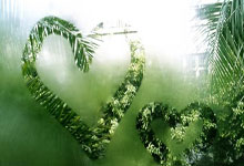 LUZSI网站改版中...